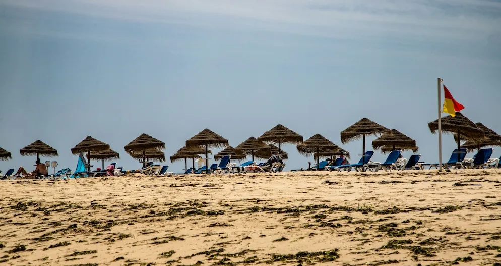 A row of straw beach umbrellas and blue lounge chairs on a sandy shore under a clear sky.